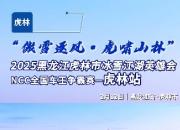 虎林文旅迎来开门红！正月十五越野闹元宵，虎林文旅带您驰骋林海雪原！